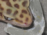thumbnail (14).jpg