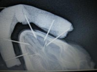 thumbnail (16).jpg