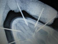 thumbnail (18).jpg