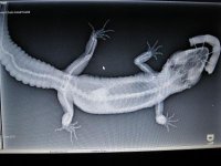 thumbnail (22).jpg