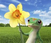 60466256_10214439533090768_2116205527192043520_n.jpg 60466256_10214439533090768_2116205527192043520_n.jpg