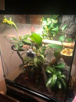 enclosure.jpg enclosure.jpg