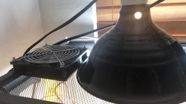 Fan and heat lamp.jpg