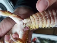 20210514_220009.jpg 20210514_220009.jpg