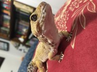 2021 03-03-21 IMG_1375.jpg 2021 03-03-21 IMG_1375.jpg