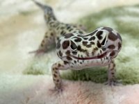 B0D76B21-F0F0-4F95-BF2B-EFABFB1B9A17.jpg B0D76B21-F0F0-4F95-BF2B-EFABFB1B9A17.jpg