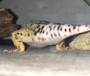 IMG_5427.jpg IMG_5427.jpg