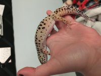 IMG_5417.jpg IMG_5417.jpg