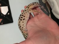 IMG_5421.jpg IMG_5421.jpg