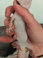 IMG_5423.jpg IMG_5423.jpg