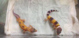 20220830_153058.jpg