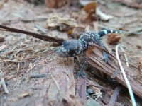 2013-04-07 11.38.10.jpg