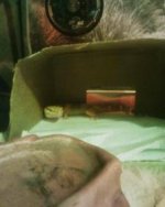 Leofed.jpg Leofed.jpg