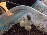 june 22 new web pics 023.jpg