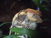 june 22 new web pics 010.jpg