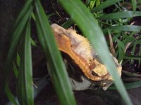 june 22 new web pics 009.jpg