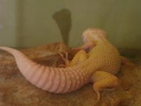 IMG_1664.jpg