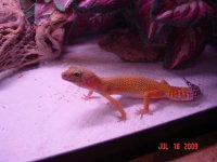 July 2009 145.jpg