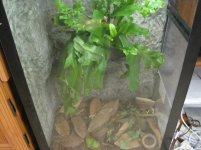 IMG_0211.jpg