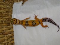 DSC01782.jpg DSC01782.jpg