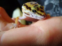 DSC01795.jpg DSC01795.jpg