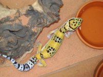 DSC01799.jpg DSC01799.jpg