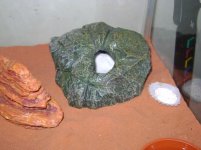 DSC01804.jpg