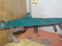 DSC01805.jpg