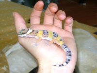 Molt 12.JPG Molt 12.JPG