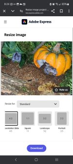 Screenshot_20240820_082429_Chrome.jpg