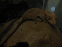 IMG_0325.jpg