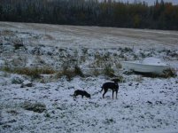 DSC01988.jpg DSC01988.jpg