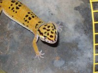 DSC02021.jpg DSC02021.jpg