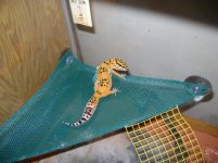 DSC02074.jpg DSC02074.jpg