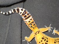 DSC02082.jpg DSC02082.jpg