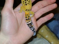 DSC02094.jpg DSC02094.jpg