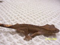 100_2032.jpg