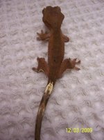 100_2035.jpg