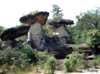 G.p. Habitat im Pha Taem.jpg