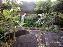 Ich im Habitat von Gp .jpg