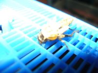 DSC01778.jpg DSC01778.jpg