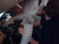 2010-02-06 12.48.55.jpg