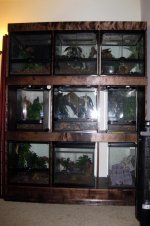 rack1.jpg