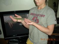 tame tokay pics 027.jpg