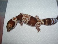 DSCN3628.JPG