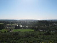 IMG_1087.jpg