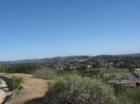 IMG_1089.jpg