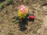 IMG_1091.jpg