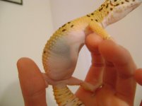 DSC02685.jpg DSC02685.jpg