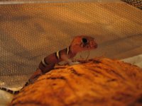 IMG_3411.jpg